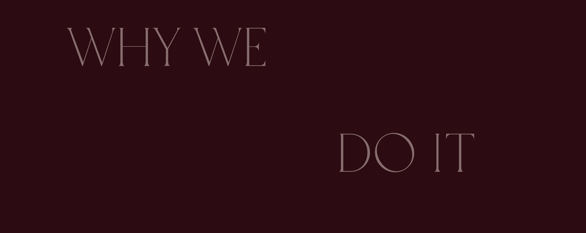 Dark burgundy graphic with thin taupe lettering reading Why We Do It